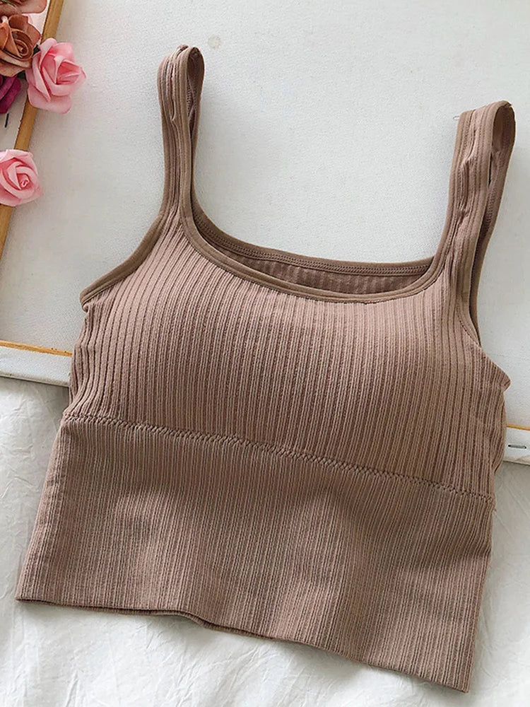 Summer Crop Top Women Seamless Square Collar Wide Straps Tank Top Knitted Striped Camisole Solid Corset Top Female